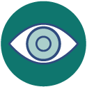 Vision Icon